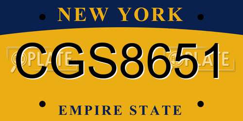 CGS8651 New York License Plate
