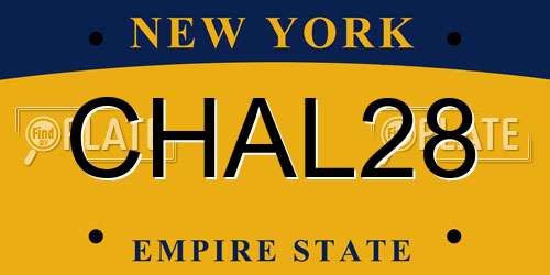 CHAL28 New York License Plate
