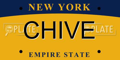 CHIVE New York License Plate