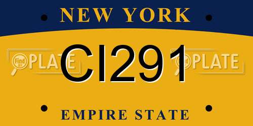 CI291 New York License Plate