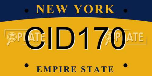 CID170 New York License Plate