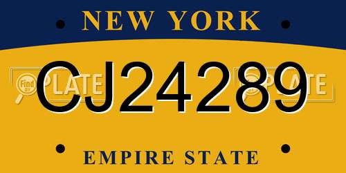 CJ24289 New York License Plate