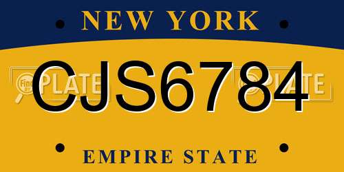 CJS6784 New York License Plate