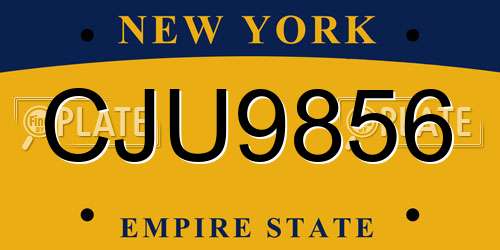 CJU9856 New York License Plate
