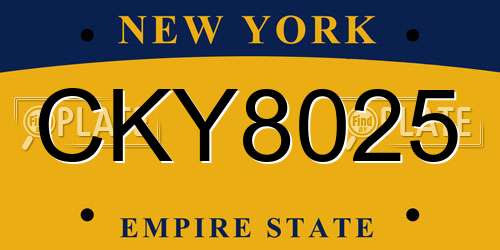 CKY8025 New York License Plate