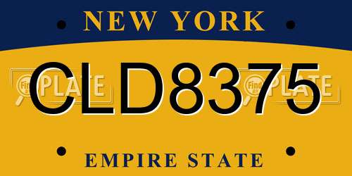 CLD8375 New York License Plate