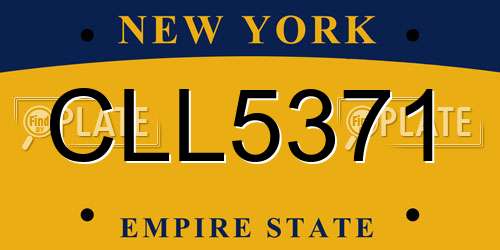 CLL5371 New York License Plate