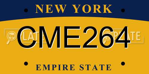 CME264 New York License Plate