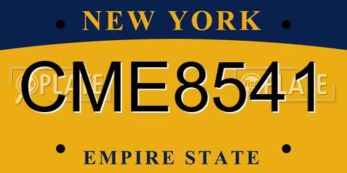 CME8541 New York License Plate