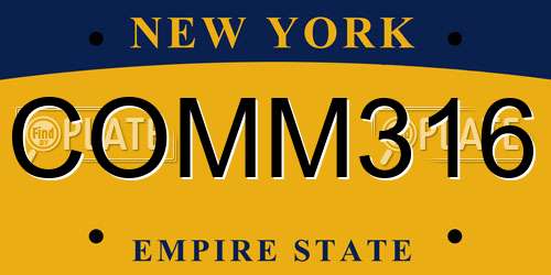 COMM316 New York License Plate
