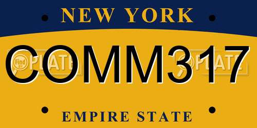 COMM317 New York License Plate