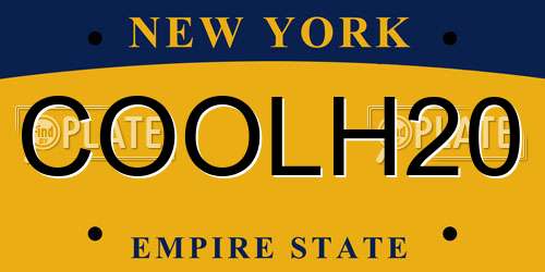 COOLH20 New York License Plate