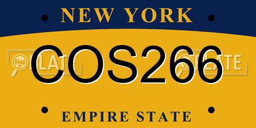 COS266 New York License Plate
