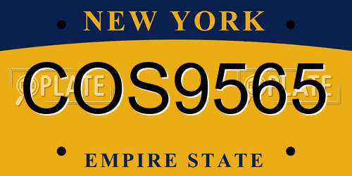 COS9565 New York License Plate