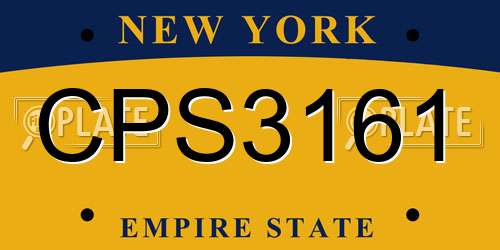 CPS3161 New York License Plate