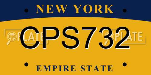 CPS732 New York License Plate
