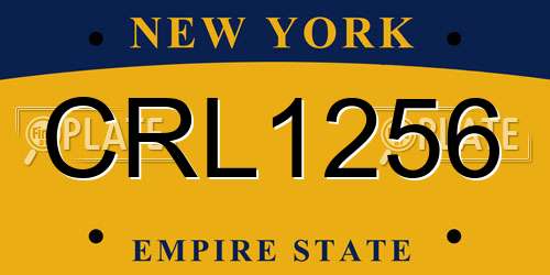CRL1256 New York License Plate