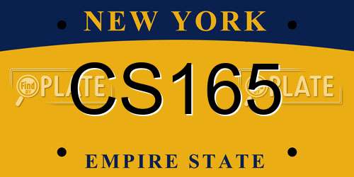 CS165 New York License Plate