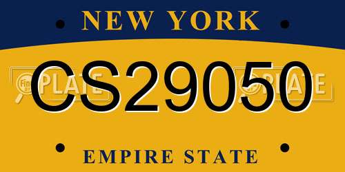 CS29050 New York License Plate