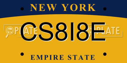 CS8I8E New York License Plate