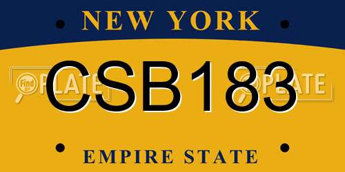 CSB183 New York License Plate
