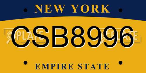 CSB8996 New York License Plate