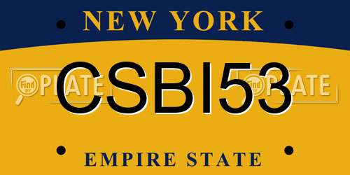 CSBI53 New York License Plate