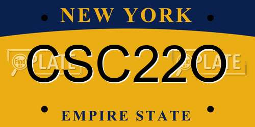 CSC22O New York License Plate
