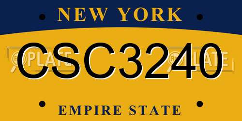 CSC3240 New York License Plate