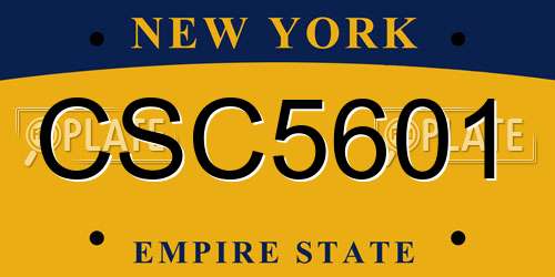 CSC5601 New York License Plate