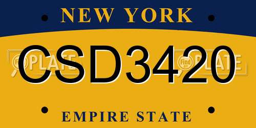 CSD3420 New York License Plate