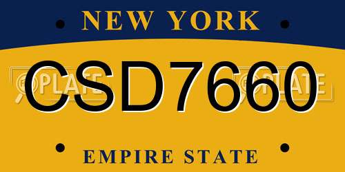 CSD7660 New York License Plate