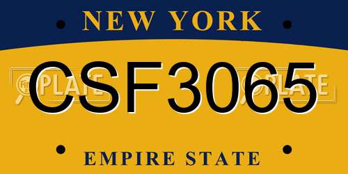 CSF3065 New York License Plate
