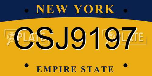 CSJ9197 New York License Plate