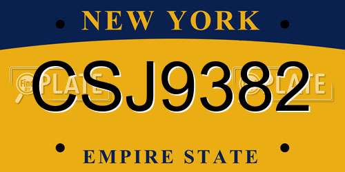 CSJ9382 New York License Plate