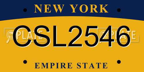 CSL2546 New York License Plate
