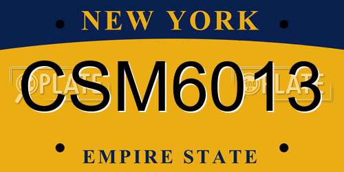 CSM6013 New York License Plate
