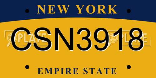 CSN3918 New York License Plate