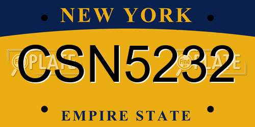 CSN5232 New York License Plate