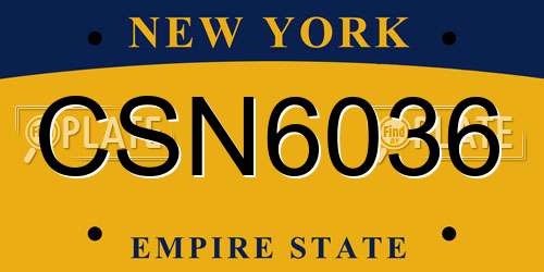 CSN6036 New York License Plate