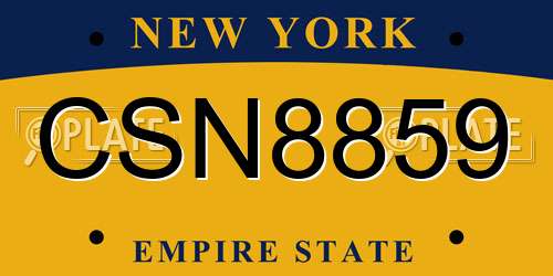 CSN8859 New York License Plate