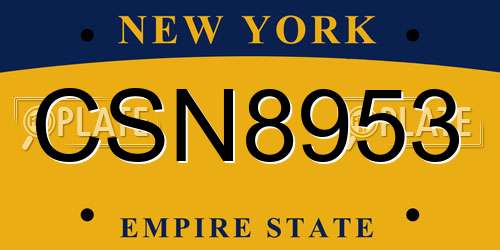 CSN8953 New York License Plate