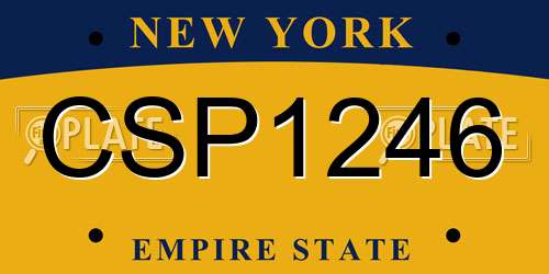 CSP1246 New York License Plate
