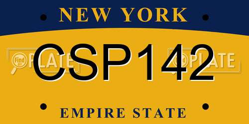 CSP142 New York License Plate
