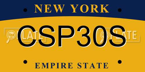CSP30S New York License Plate