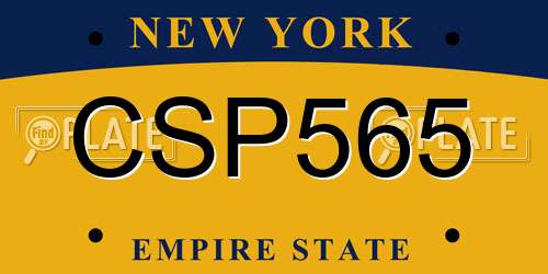 CSP565 New York License Plate