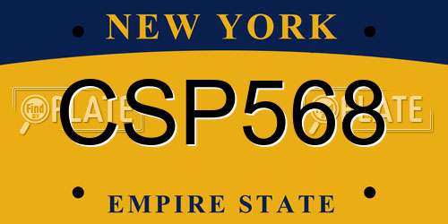 CSP568 New York License Plate