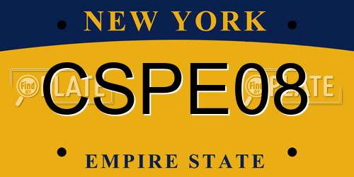CSPE08 New York License Plate