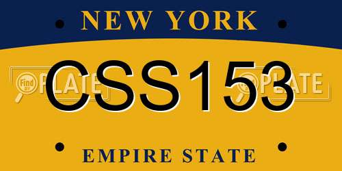 CSS153 New York License Plate