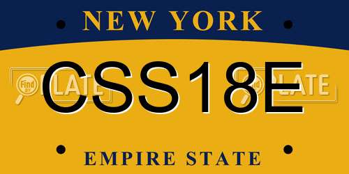 CSS18E New York License Plate
